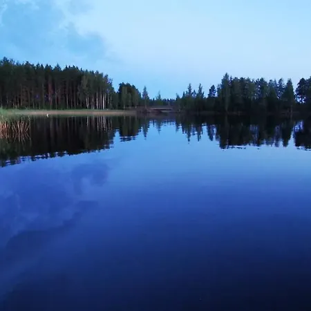Salkoniemi Savonlinna